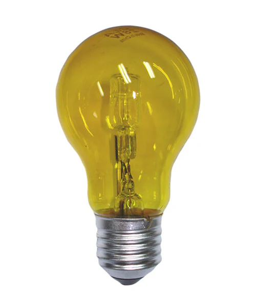 CLA Coloured GLS Halogen Globes